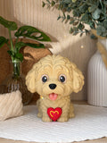 Maltipoo